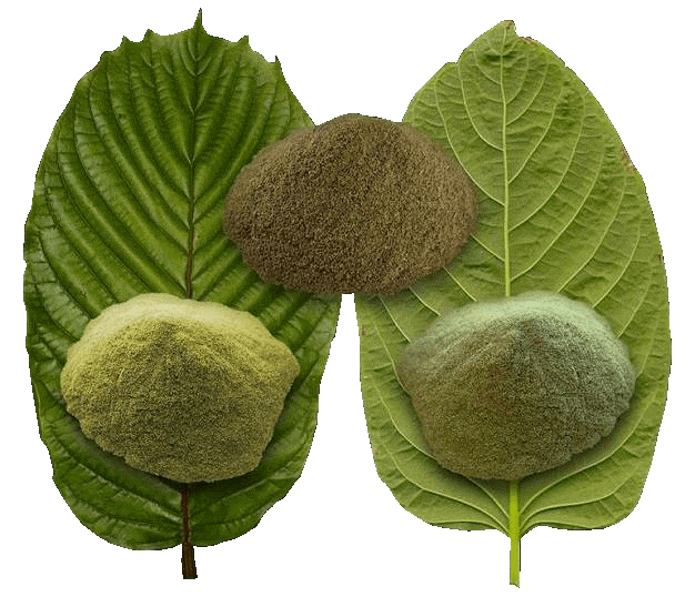 The best guide to buying kratom online healthy topics.