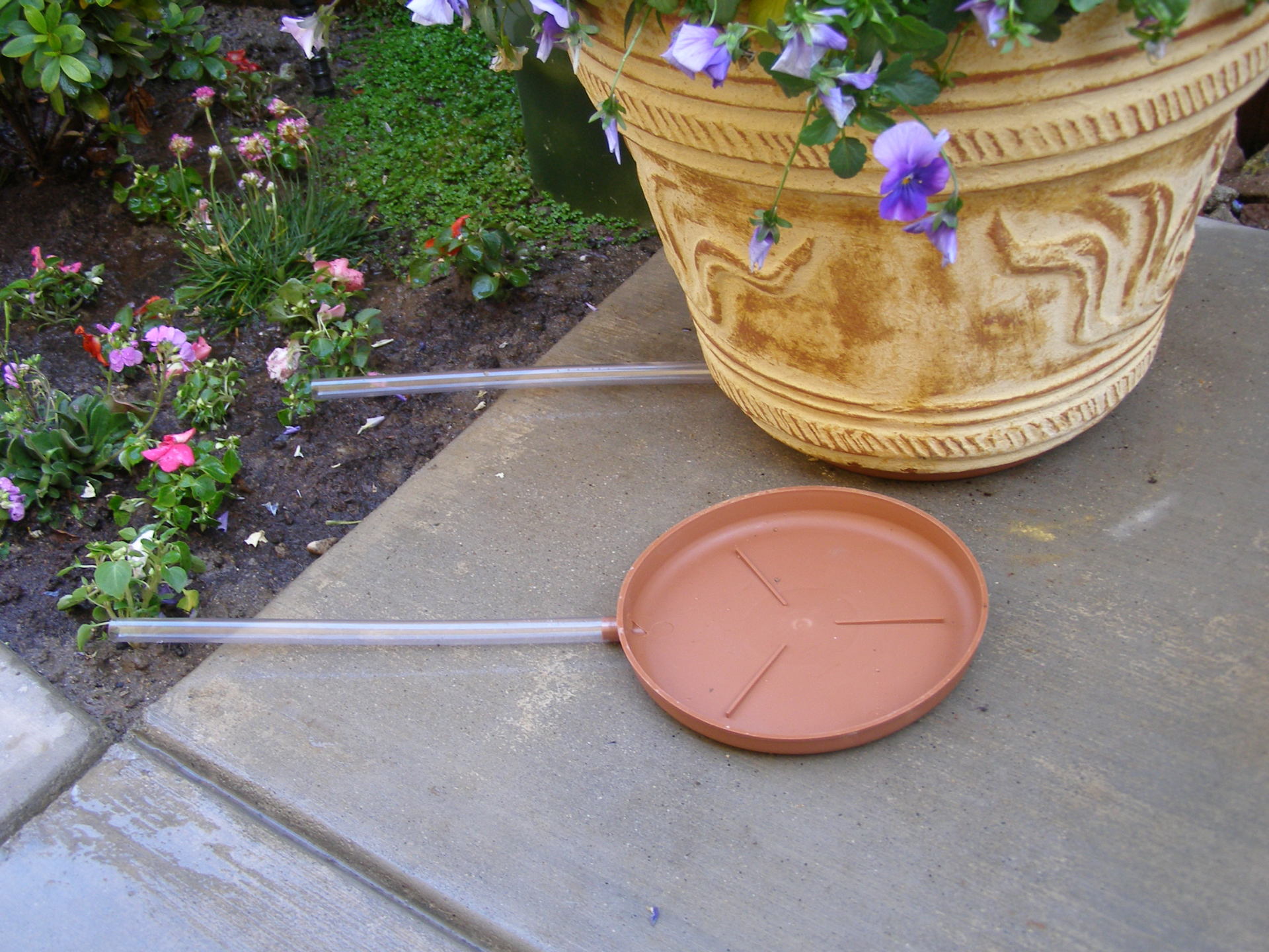 Creative Ideas for Planter Drip Trays - Mixarena