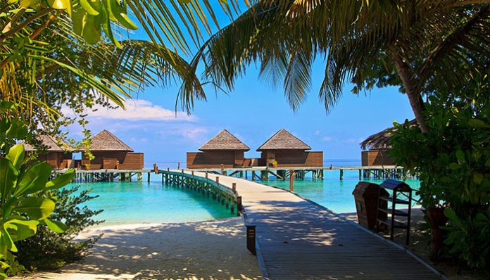 holiday in the maldives